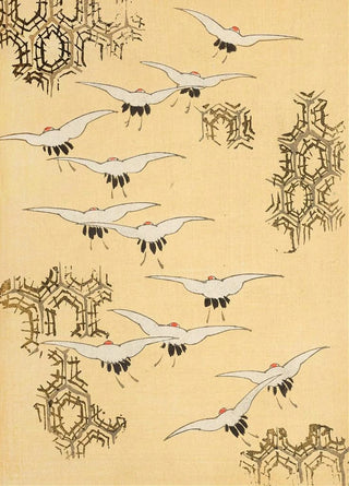 Furuya Krin - Bijutsukai Pl43.webp