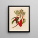 Crataegus glabra - Gaetano Savi — gerahmtes Bild an der Wand