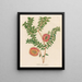 Melaleuca hypericifolia - Gaetano Savi — gerahmtes Bild an der Wand