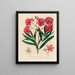 Nerium oleander in einfacher und vollständiger Blüte - Gaetano Savi — gerahmtes Bild an der Wand