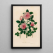 Rosa thea et variet - Gaetano Savi — gerahmtes Bild an der Wand