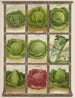 Chou - Genesee Valley Lithograph & Co.. — Ansicht des Kunstwerks