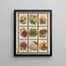 Calliopsis Canari vigne Canna Œillet - Genesee Valley Lithograph & Co.. — gerahmtes Bild an der Wand
