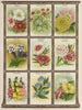 Cosmos Cyprès Vigne Dahlia Datura - Genesee Valley Lithograph & Co.. — Ansicht des Kunstwerks