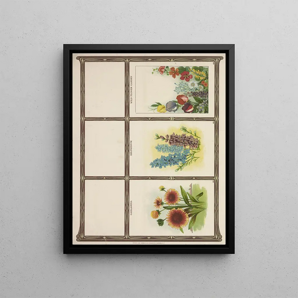 Genesee Valley Lithograph Co - Gaillardia Delphinium Wtld flower garden.webp