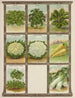 Grünkohl Blumenkohl Chicorée Sauerampfer Lauch - Genesee Valley Lithograph & Co.. — Ansicht des Kunstwerks
