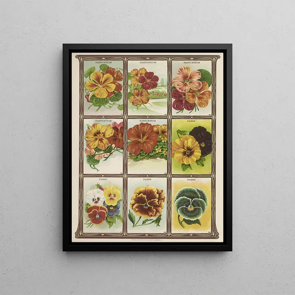 Genesee Valley Lithograph Co - Nasturtium Pansy.webp