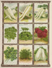 Pastinaken Petersilie Radieschen - Genesee Valley Lithograph & Co.. — Ansicht des Kunstwerks