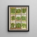 Kleine Punkte - Genesee Valley Lithograph & Co.. — gerahmtes Bild an der Wand