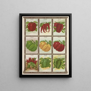 Genesee Valley Lithograph Co - Pepper.webp