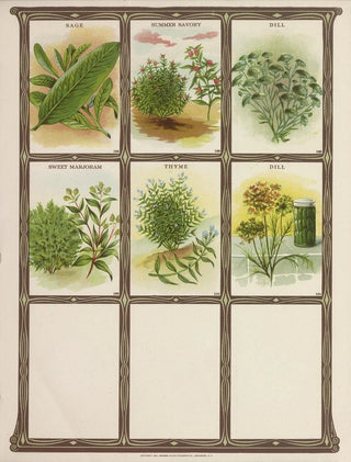 Genesee Valley Lithograph Co - Sage Summer Savory Dill Summer Marjoram Thyme.webp
