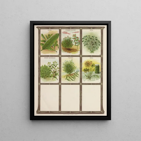 Genesee Valley Lithograph Co - Sage Summer Savory Dill Summer Marjoram Thyme.webp