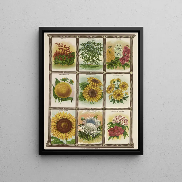 Genesee Valley Lithograph Co - Salvia Smilax Stock Sunflower.webp