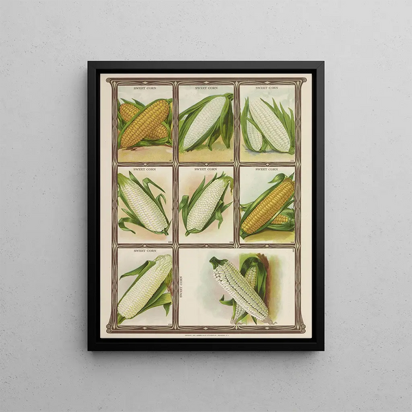 Genesee Valley Lithograph Co - Sweet Corn.webp
