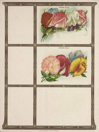 Genesee Valley Lithograph Co - Sweet Peas.webp