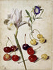Iris d'Espagne, gloire du matin et cerises - Georg Flegel — Ansicht des Kunstwerks