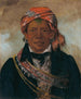 BdA-Sin Chef de la tribu - George Catlin — Ansicht des Kunstwerks