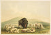 Bisonjagd, weiße Wölfe greifen einen Büffel an - George Catlin — Ansicht des Kunstwerks