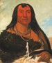 Chh-Ee-Chpes Vier Wölfe ein Anführer in Trauer - George Catlin — Ansicht des Kunstwerks