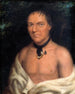 Co-Sne-Boin - George Catlin — Ansicht des Kunstwerks