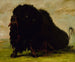 Bison sterbend durch einen Pfeil getroffen - George Catlin — Ansicht des Kunstwerks