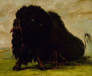 Bison sterbend durch einen Pfeil getroffen - George Catlin — Ansicht des Kunstwerks