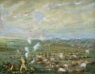 Tir de flamants en Amérique du Sud - George Catlin — Ansicht des Kunstwerks