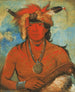 Hh-Je-Day-Ah-Shee Begegnung mit mutigen Vögeln - George Catlin — Ansicht des Kunstwerks
