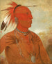 Lawhhecootslashwno Brave Chief und Skidi Wolf Pawnee - George Catlin — Ansicht des Kunstwerks