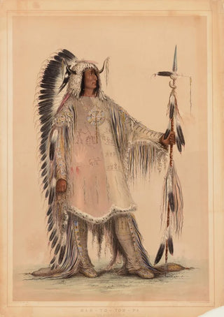 George Catlin - MahToTohPa The Mandan Chief.webp