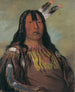 Mix-ke-mte-skin-na Eisenhorn ein Krieger - George Catlin — Ansicht des Kunstwerks