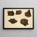 Portraits von zwei Grizzlis nach der Natur - George Catlin — gerahmtes Bild an der Wand
