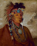 Sh-Me-Ks Sieh den Wolf als Anführer - George Catlin — Ansicht des Kunstwerks
