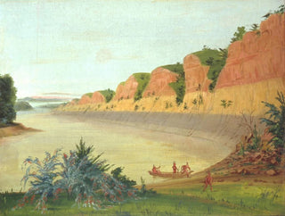 George Catlin - South Side Of Buffalo Island Showing Buffalo Berries In The Foreground.webp