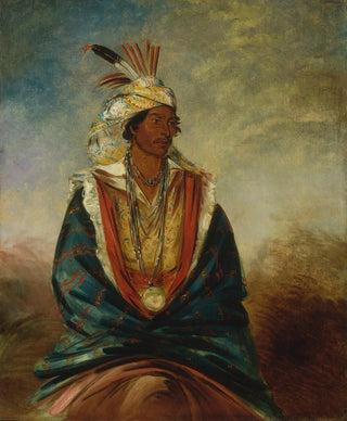 George Catlin - TelMazHZa a Warrior of Distinction.webp