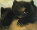 Waffen und Physiognomie des Grizzlybären - George Catlin — Ansicht des Kunstwerks