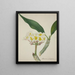 Mein Garten in Ceylan Pl007 - George De Alwis — gerahmtes Bild an der Wand