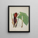 Mein Garten in Ceylon Pl082 - George De Alwis — gerahmtes Bild an der Wand
