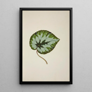 George De Alwis - Mon Jardin a Ceylan Pl245.webp