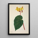 Mein Garten in Ceylon Pl268 - George De Alwis — gerahmtes Bild an der Wand