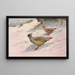 Perdrix sanglante de Geoffroy - George Edward Lodge — gerahmtes Bild an der Wand