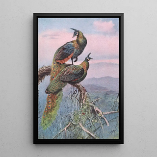 George Edward Lodge - Green Peafowl.webp