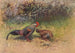 Coq gris de la jungle - George Edward Lodge — Ansicht des Kunstwerks