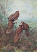 Fasan Pfau Grau - George Edward Lodge — Ansicht des Kunstwerks