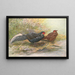 Kaleege hybride d'Oates - George Edward Lodge — gerahmtes Bild an der Wand