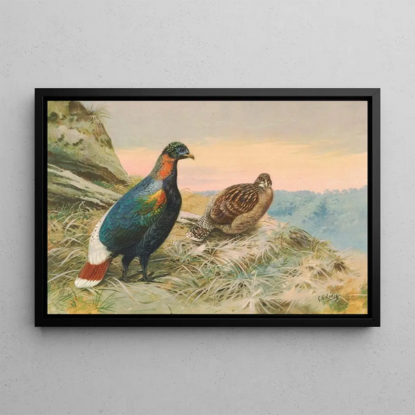 Faisan Impeyan de Sclater - George Edward Lodge — gerahmtes Bild an der Wand