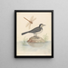 Bergeronnette grise et libellule - George Edwards — gerahmtes Bild an der Wand