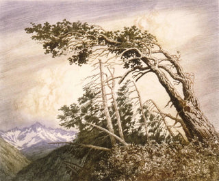 Maison des vents n° 2 - George Elbert Burr — Ansicht des Kunstwerks