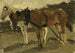 Ein brauner und ein weißer Pferd in Scheveningen - George Hendrik Breitner — Ansicht des Kunstwerks
