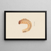 Aquarell der Entomologie Pl019 - George Hudson — gerahmtes Bild an der Wand